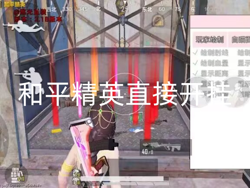 和平精英直接开挂-墨鱼直装3.0版本